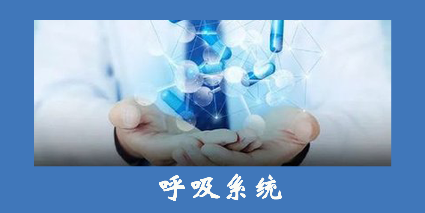 呼吸系統