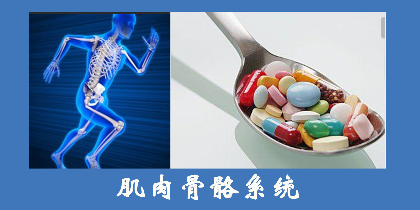 肌肉骨骼系統