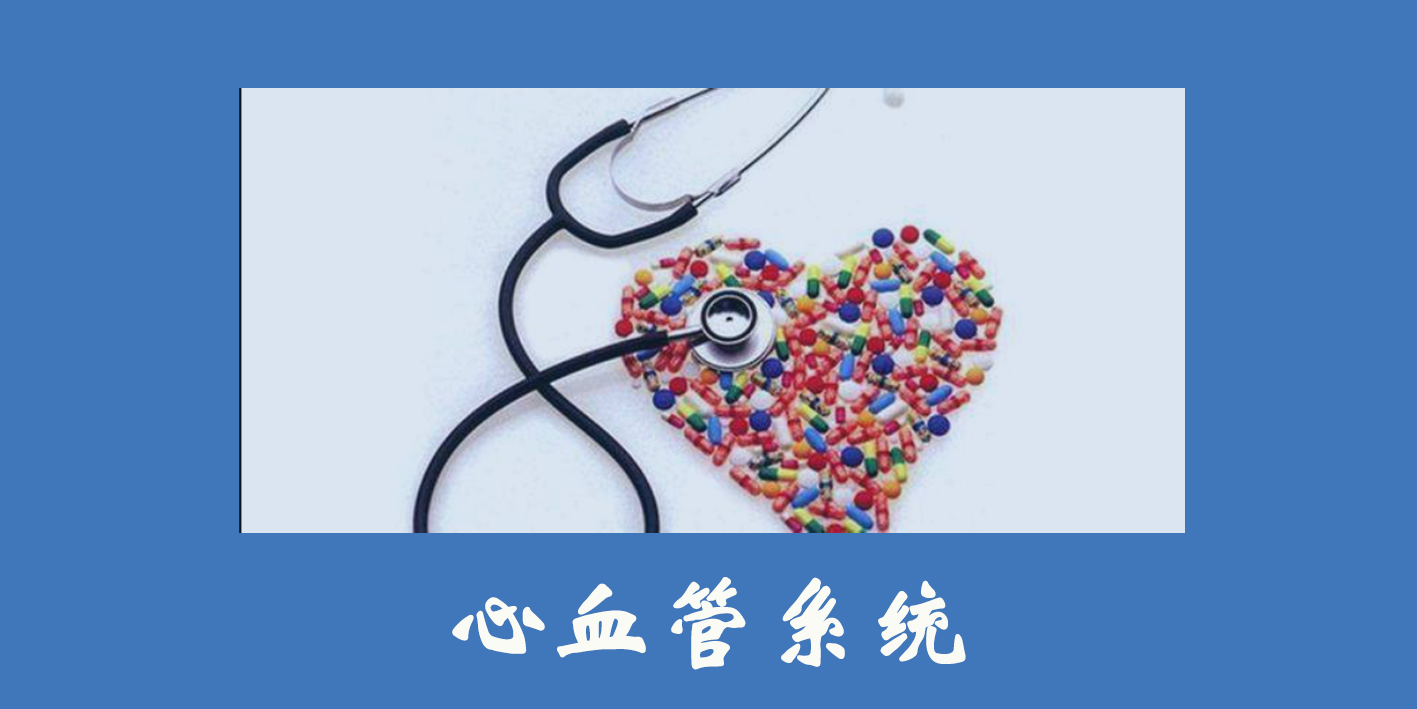 心血管系統